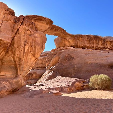 Wadi Rum Tents ภายนอก รูปภาพ