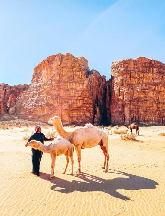Wadi Rum Tents ภายนอก รูปภาพ